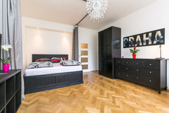 Newly renovated apartment is located close to the Letna park, the fairgrounds (V Prague, Czechia Luxury and stylish apartment in center of Prague Entire rental unit vacation rental 11766068