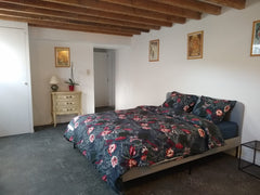 Clean, spacious and comfortable room in our authentic Brussels house, dating bac Brussels, Belgium large double bed room with shower ensuite Private room in townhouse vacation rental 42173305