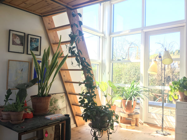 Cozy wooden house in a bohemian allotment / village in the middle of green Copen Copenhagen, Denmark Self builded home in the green CPH Entire townhouse vacation rental 25931519
