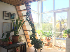 Cozy wooden house in a bohemian allotment / village in the middle of green Copen Copenhagen, Denmark Self builded home in the green CPH Entire townhouse vacation rental 25931519