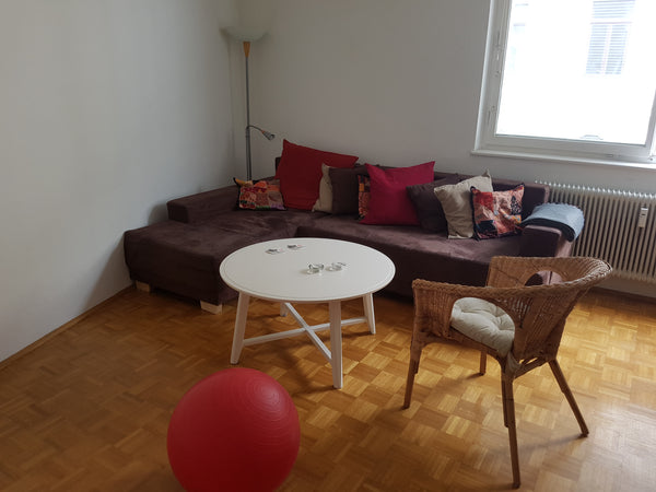 Spacious and cosy apartment at the heart of the city, in Karlsplatz.  The apartm Vienna, Austria Spacious apartment at the heart of the city Entire rental unit vacation rental 26246403