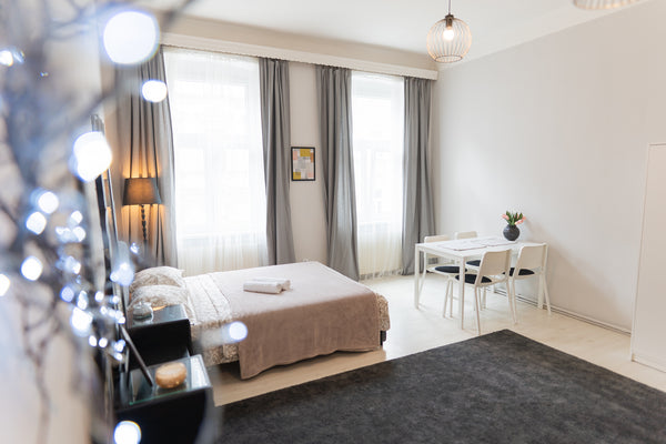 Very bright and comfortable apartment near the Hauptbahnhof and direct accessibi Kyiv, Ukraine Marvelous 2bedrooms Flat near Bahnhof & Old City! Entire rental unit vacation rental 556884773638408683
