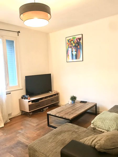 Idéalement situé pour passer la fête des lumières à Lyon, à 15 minutes à pieds d Lyon, France Idéal fêtes des lumières Entire rental unit vacation rental 39876196