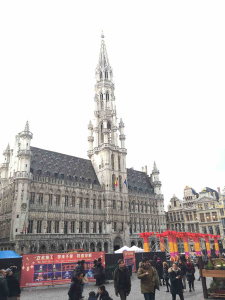 Chouette studio en plein centre de Bruxelles, à 100 mètres de la grand place et   Superbe studio 100 m near the Grand place !!! Entire rental unit vacation rental 32166798
