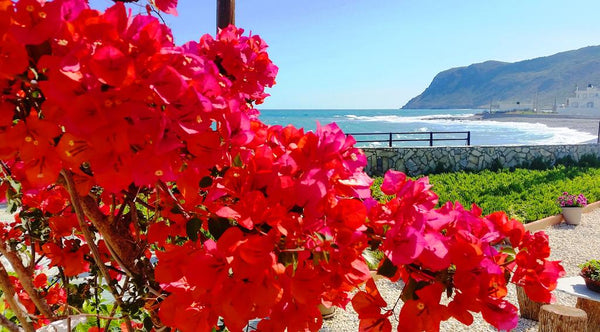 The  studio is located on Milatos beach, off the main square, on the main beach  Milatos, Greece SEA-esta Studios, the sea at your doorstep! Entire rental unit vacation rental 17714403
