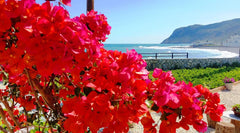 The  studio is located on Milatos beach, off the main square, on the main beach  Milatos, Greece SEA-esta Studios, the sea at your doorstep! Entire rental unit vacation rental 17714403