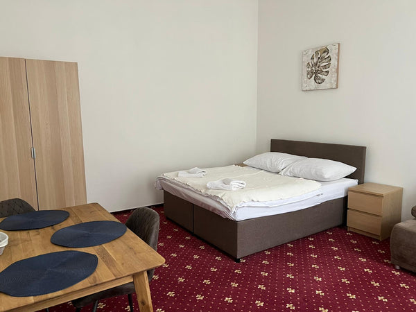These spacious studio apartments are perfect for a family or group of friends, a Prague, Czechia Capacious Standart apartment Sokolska Entire rental unit vacation rental 43796021