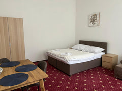 These spacious studio apartments are perfect for a family or group of friends, a Prague, Czechia Capacious Standart apartment Sokolska Entire rental unit vacation rental 43796021