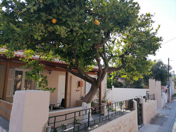 It is a beautiful house of the time. The tiled roof indicates the presence of ti  Lemon Tree House Entire home vacation rental 50432834