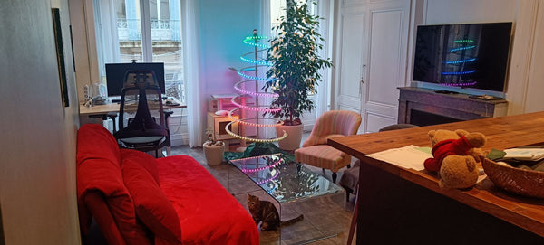 Ce logement est à 10 mins à pied de tout (l'hyper centre de Lyon, la part dieu,  Lyon, France L'appartement du chat Entire rental unit vacation rental 774401143615761537