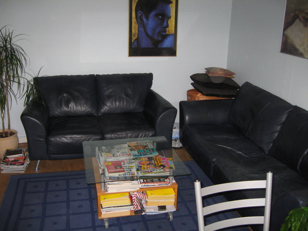 Apartment for rent in Copenhagen from Sunday 18 September 2022 from 20.00 oclock Copenhagen, Denmark Cosy apartment in Copenhagen SV Entire rental unit vacation rental 802110