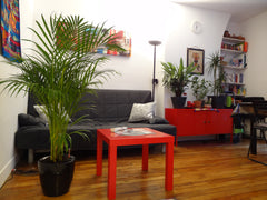 Very nice  apartment with 1 bedroom, 1 living-ro in the heart of Paris (14th) .  Nice, France Beau deux pièces lumineux ! Entire rental unit vacation rental 6817352