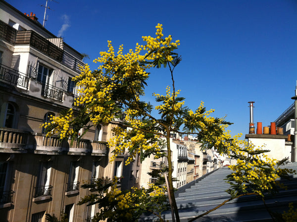 Located in the 15 arrondissement, in a quiet street, on the top floor, th room ( Paris, France Pleasant room showerroom & balcony Private room in condo vacation rental 3144369