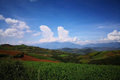 3 Days Dongchuan Red Land and Stone Forest Private Tour from Kunming  Private Tours and Travel Guide Asia Shanghai CITY Kunming Destination Tour Asia Shanghai CITY Kunming