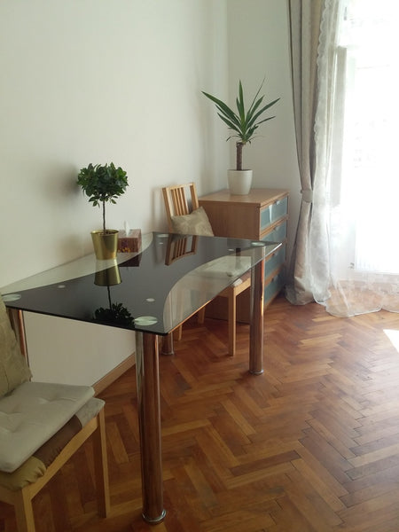 The apartment is located in the center of Praha, it is large and comfortable. Ea  Cozy big apartment * Entire rental unit vacation rental 40885182