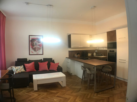 Zentrumsnah am Donaukanal, sehr helle, ruhige Wohnung im 3.Stockwerk mit Lift<br Wanzenau, Austria Sehr helle,zentrumsnahe Wohnung, Donaukanal-U4Nähe Entire rental unit vacation rental 28825622