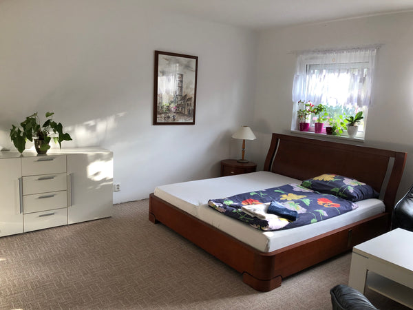 The way to the city center takes 10 min by car.The way to the city center takes  Zdiby, Czechia Homestay U Hanky Private room in home vacation rental 26247258