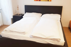 Eine wunderschöne, stylische Wohnung in einem historischen Wiener Altbaugebäude   Chic Apartment - Very Central and Well Connected Entire rental unit vacation rental 695772140756061425