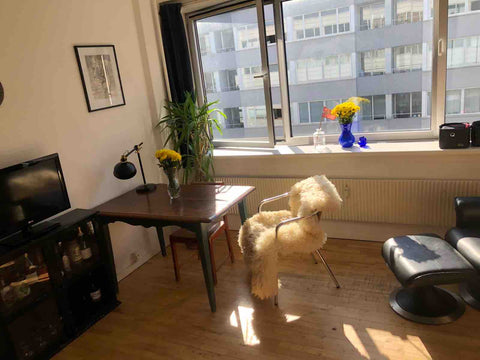 A beautiful, light and comfy apartment in Copenhagen, in the fantastic, safe are Copenhagen, Denmark Light and cozy apartment Entire rental unit vacation rental 37121626