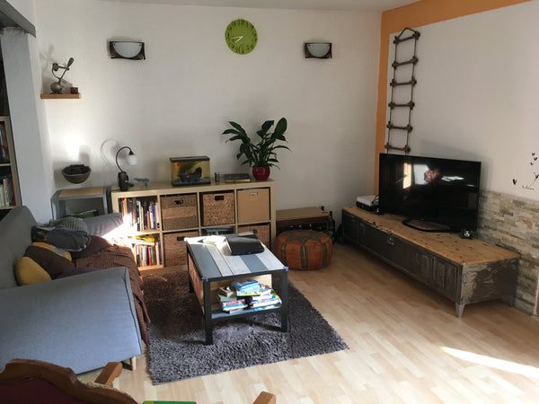 Maison à proximité immédiate du centre ville de Bordeaux et de la rocade (idéal  Bègles, France Bègles : maison avec jardin très proche Bordeaux Entire home vacation rental 26104191