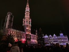 studio situé en plein centre de Bruxelles à côté de la Grande place dans une rés  Magnifique Studio au coeur de la Grande place Entire rental unit vacation rental 29731650