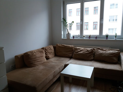 Apartment<br />is fully furnished and equipped and offers fast connections to ma Vienna, Austria Central cozy apartment Entire rental unit vacation rental 22324706