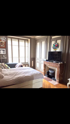 Appartement de 90m2 à quelques pas du métro Foch, idéalement situé. Lyon, France Appartement Lyon Foch Entire rental unit vacation rental 23102684