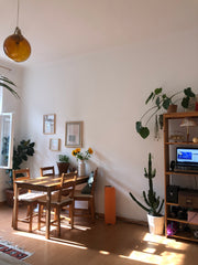 Entdecke Wien von der schönsten Seite, und dazwischen entspanne dich und genieße Vienna, Austria Beautiful and clean apartment close to Schönbrunn, Entire rental unit vacation rental 658357765379938851