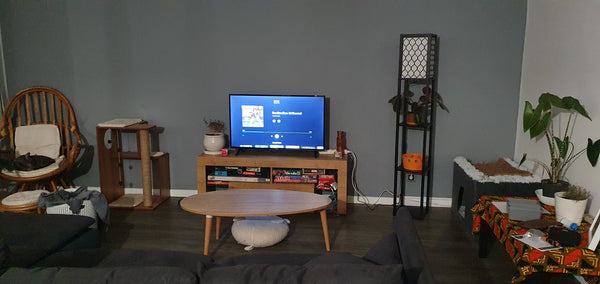 Notre grand appartement est tout à fait adapté à l'accueil de voyageurs. La cham  Appartement spacieux dans le centre de Lyon Private room in rental unit vacation rental 768572609290718949