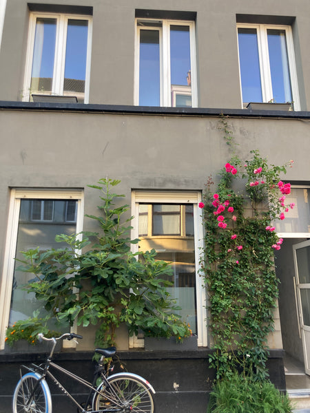 Gezellige stadswoning met zitkamer, slaapkamer en badkamer op het gelijkvloers.  Antwerp, Belgium Stadswoning in smiley-neighbourhood 2060 Entire townhouse vacation rental 39728310