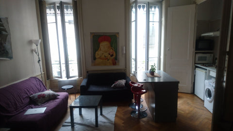 Bel appartement situé en plein coeur de Lyon au pied de la place Sathonay, à 5 m Saint-Cyr-au-Mont-d'Or, France Appartement plein centre de Lyon Entire rental unit vacation rental 20855802