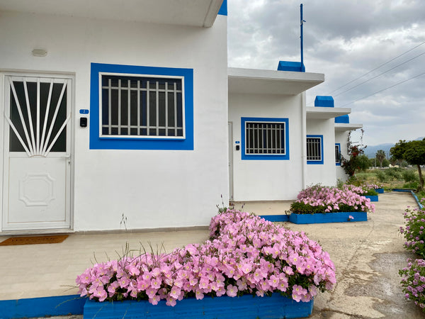 This house is connected with the beauty of nature, with its spacious garden it i Greece Elgreco Apartment at Tigaki '5' near the sea Entire condo vacation rental 44970106