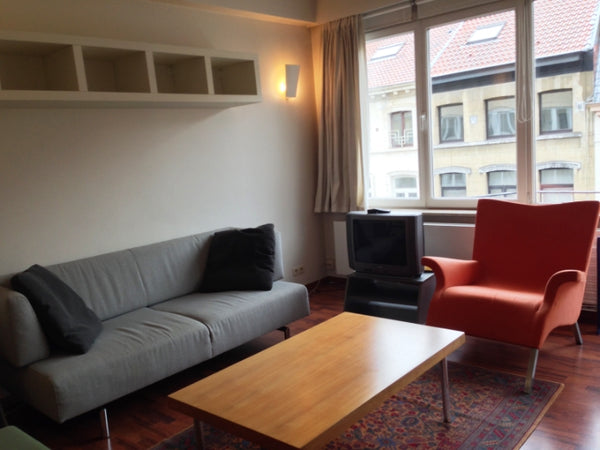 In quiet street, 7 min walk  from the European Commission . Parc du Cinquantenai Paris, France Lovely furnished flat EU quarter Entire rental unit vacation rental 19570844