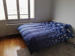 Grande chambre avec lit King size et bureau dans un appartement spacieux et lumi Compiègne, France Grande chambre avec lit King proche Fourvière Private room in rental unit vacation rental 22013766