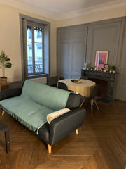 Nous sommes deux jeunes femmes de 23 et 24 ans en colocation. nous avons une tro Lyon, France Chambre dans spacieux appartement cœur de Lyon Private room in rental unit vacation rental 42241071
