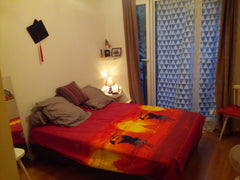 Room available in a spatious appartment. Chambre avec lit double dans appartemen Lyon, France Chambre lumineuse, Centrale Metro D Private room in rental unit vacation rental 13545456