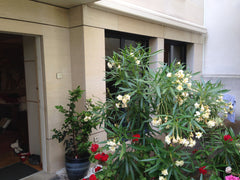 Fully equipped apartment in a quiet and recent building in Paris (15è arrondisse Paris, France Quiet Apartment near Eiffel Tower Entire condo vacation rental 2158580