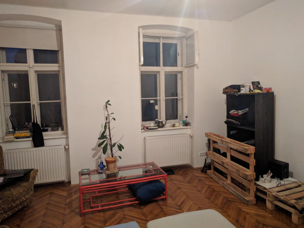 The offer is a big Room in a 90m² flat in the 8th District. Me Flo (24) and Musl  Big Room in shared flat in 8th District Private room in rental unit vacation rental 23169238