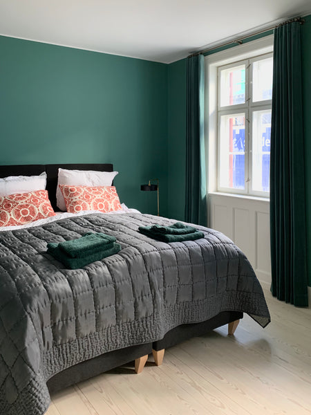 Lejligheden har et stort soveværelse, en stue med spiseplads, et dejligt badevær  Central beliggenhed i gammelt renoveret byhus Entire rental unit vacation rental 43996476