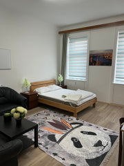 Relax in this beautiful and peaceful place, close to the shopping complex and cl Vienna, Austria beautiful and quiet Entire condo vacation rental 621339532605219109