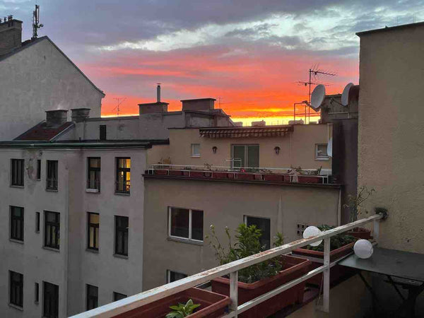 Offering my cute apartment with Vienna’s best rooftop terrace towards the quiet  Vienna, Austria Cute 1 bedroom apartment with best rooftop terrace Entire condo vacation rental 50927703