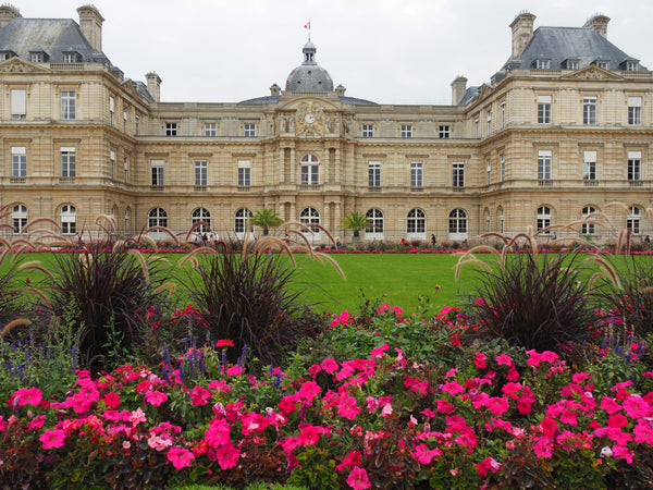 Located between Odeon and Pont Neuf, at the heart of Saint Germain des Pres, the Paris, France Studio in the heart of Saint-Germain-des-Prés Entire rental unit vacation rental 15136699
