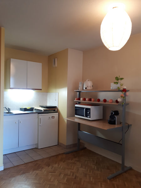 Appartement situé au cœur de Lyon dans le quartier étudiants à moins de 100m du  St-Genis-Laval, France Studio: Centre de Lyon Entire rental unit vacation rental 22319652