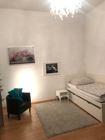 thoughtfully furnished studio apartment in one of Vienna's favourite districts,  Vienna, Austria pleasant studio in popular area Entire rental unit vacation rental 6434779