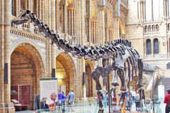 Kid Friendly Natural History Museum & Dinosaurs Private Guided Tour in London  Private Tours and Travel Guide Europe London CITY London Destination Tour Europe London CITY London