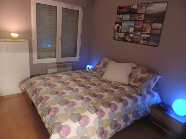 Notre Appartement de 55m2 avec son balcon vous accueille en centre ville de Lyon Lyon, France Beau T2 de 55 m2 en centre ville Entire rental unit vacation rental 9343009