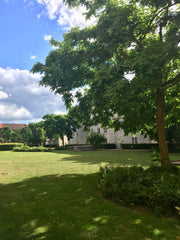 Spacious Family app in quiet neighborhood with a green garden just outside where Frederiksberg, Denmark 100 m2 w/2 terraces Entire rental unit vacation rental 36385825