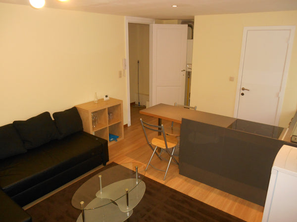 Nice apartment located in a nice neighborhood: quiet and friendly. Ideally locat Brussels, Belgium Nice flat near Elisabeth Park Entire rental unit vacation rental 4924828
