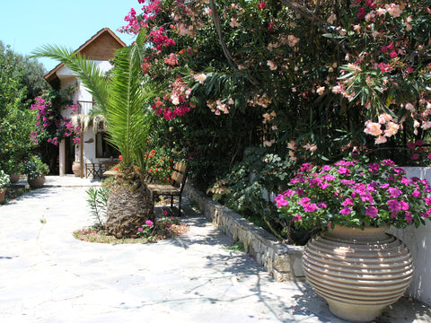 <b>The space</b><br />Paleochora is called the " Nymph of the Libyan sea". <br / Palaiochora, Greece Olive  Tree Cottages 3+4+5 Entire cottage vacation rental 160516