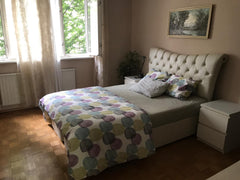 I am offering a small (approx. 50 sm), very comfortable apartment in the 4th dis  Your cozy home in Vienna Entire rental unit vacation rental 36442923